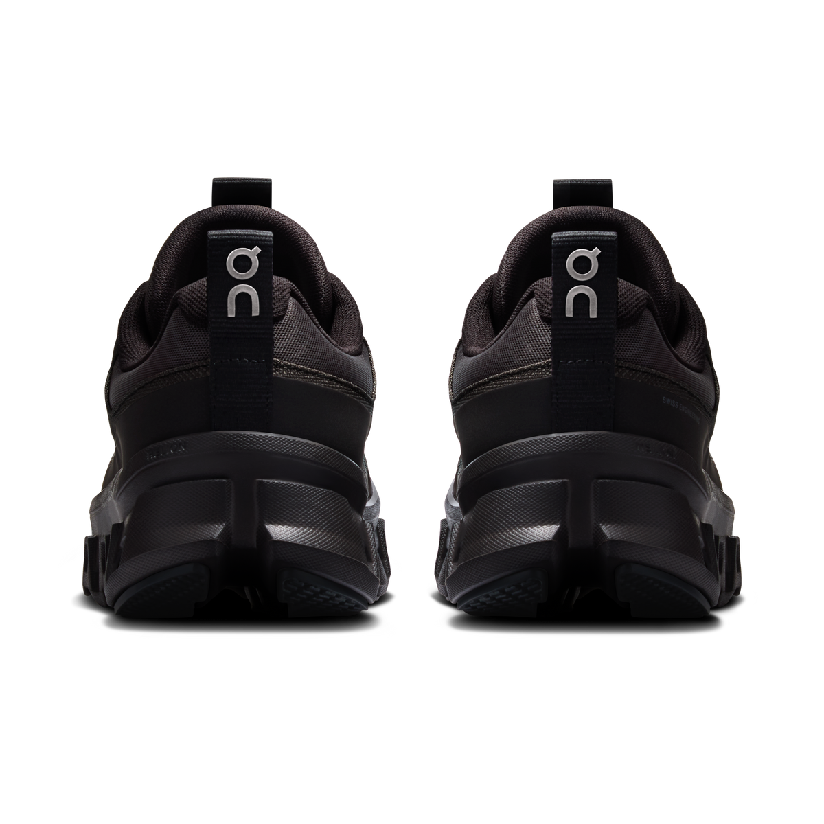 Cloudmonster 1 Waterproof